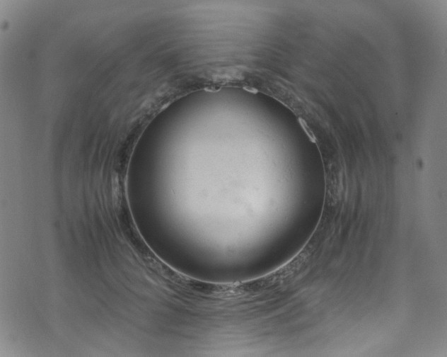 X0000072550704200607141253