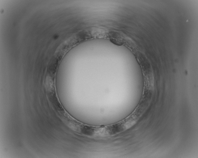 X0000072550705200607141253