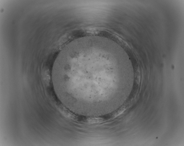 X0000072550707200607141253