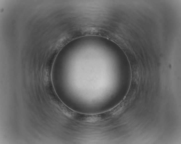 X0000072550708200607141253