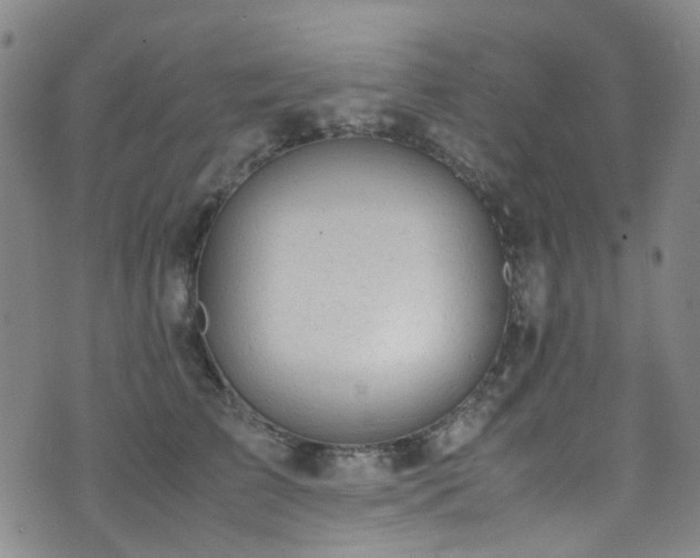 X0000072550709200607141253