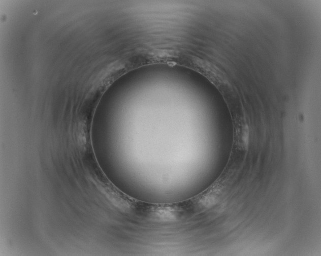 X0000072550710200607141253