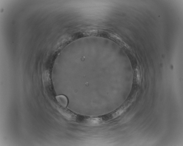 X0000072550711200607141253