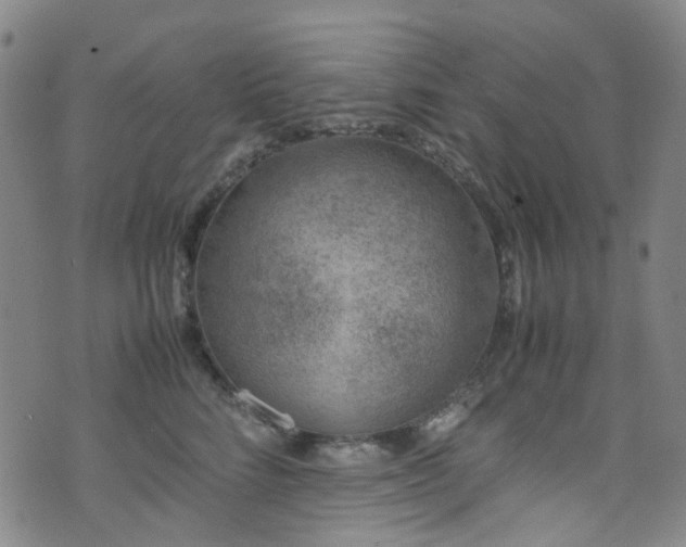 X0000072550712200607141253