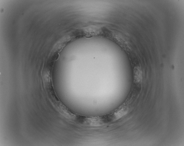 X0000072550713200607141253