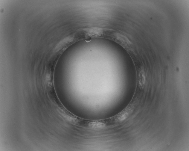 X0000072550714200607141253