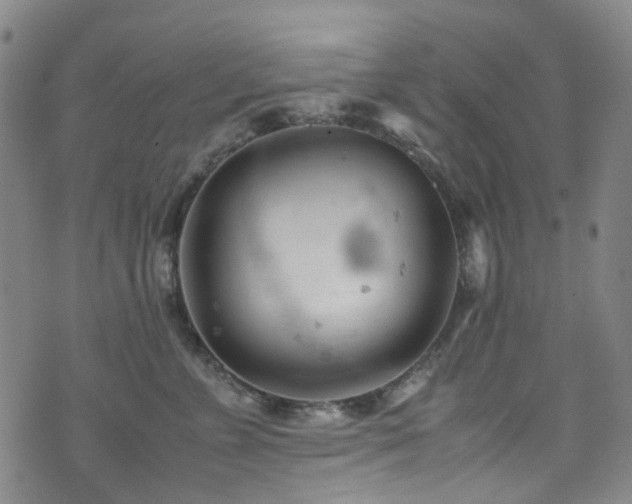 X0000072550715200607141252