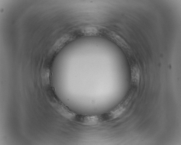 X0000072550717200607141252