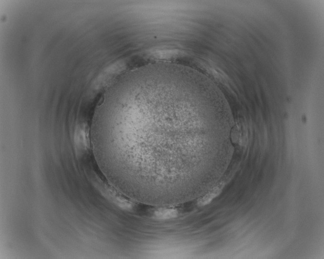 X0000072550718200607141252