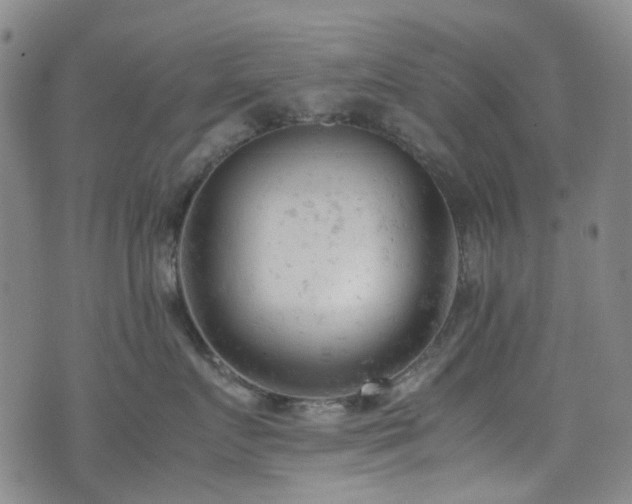 X0000072550719200607141252