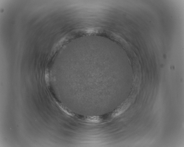 X0000072550720200607141252