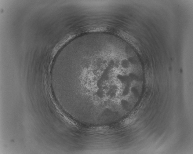 X0000072550721200607141252