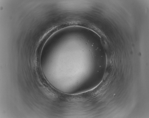 X0000072550722200607141252