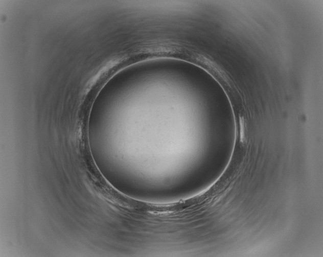 X0000072550723200607141252