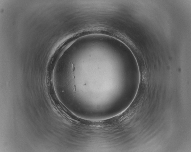 X0000072550724200607141252