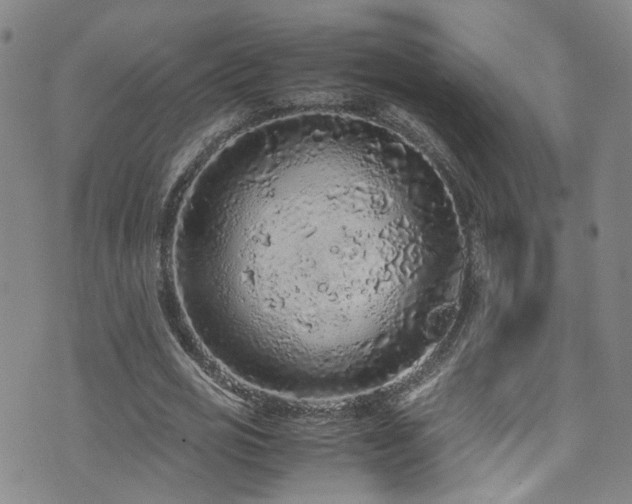 X0000072550725200607141252