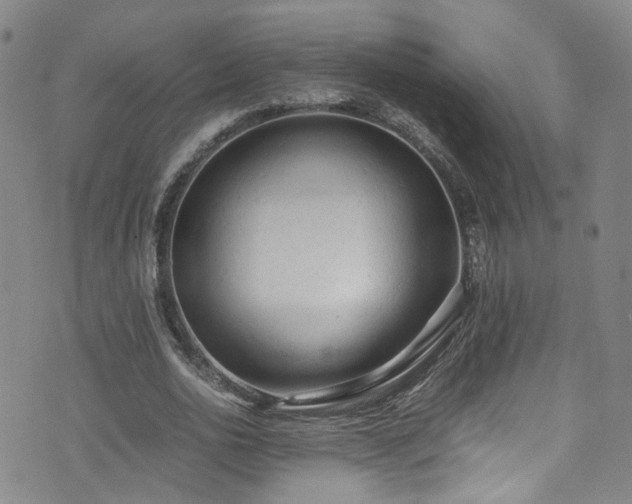 X0000072550726200607141252