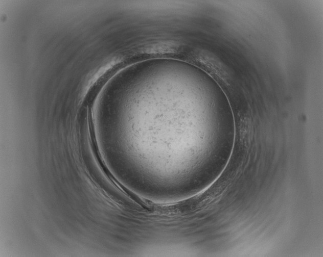 X0000072550727200607141252