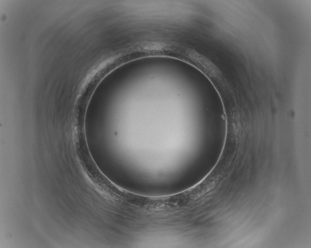 X0000072550728200607141252