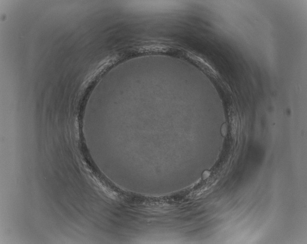 X0000072550729200607141252