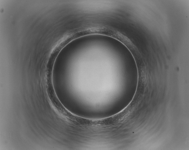 X0000072550730200607141252