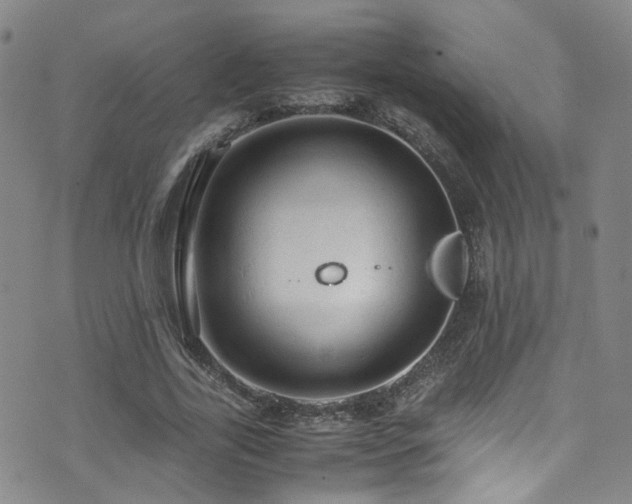 X0000072550731200607141252