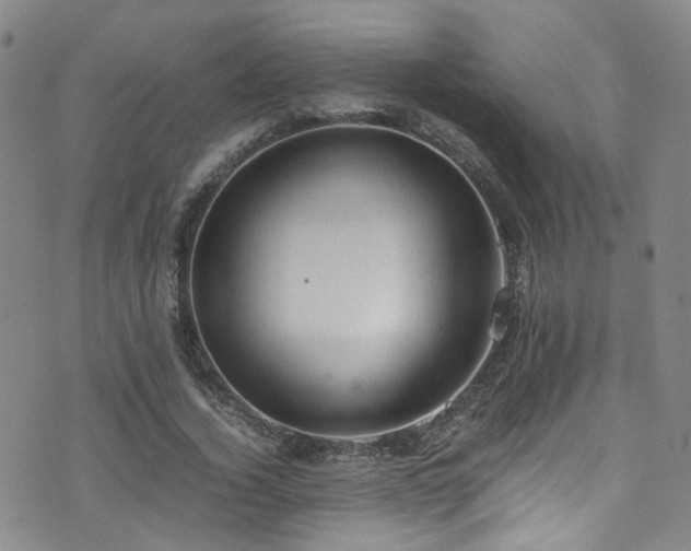 X0000072550732200607141252