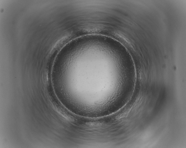 X0000072550733200607141252