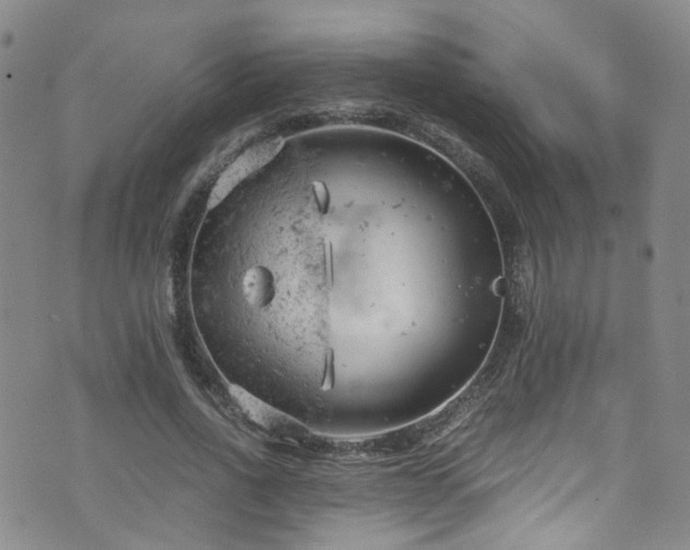 X0000072550734200607141252