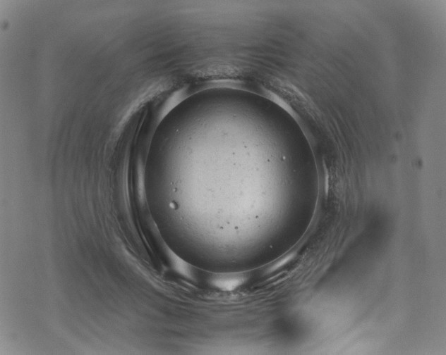 X0000072550735200607141252