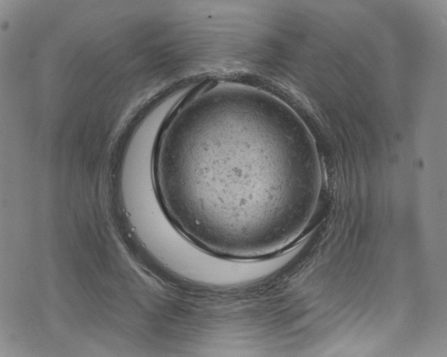 X0000072550736200607141252