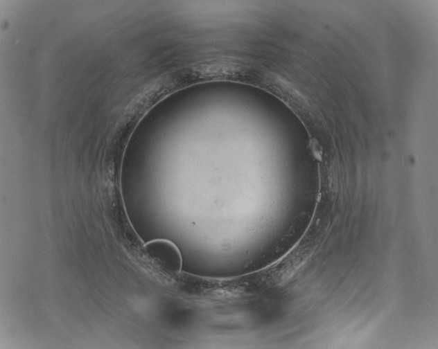 X0000072550737200607141252