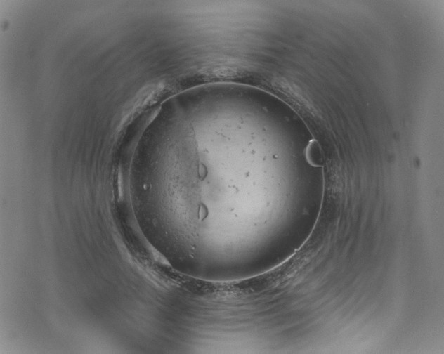 X0000072550738200607141252