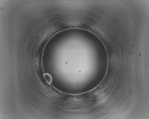 X0000072550739200607141252