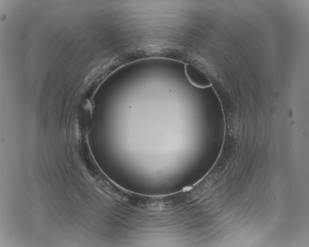 X0000072550740200607141252