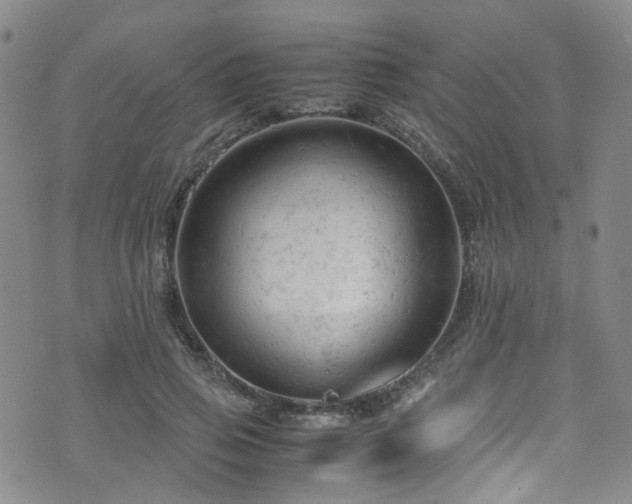 X0000072550741200607141252