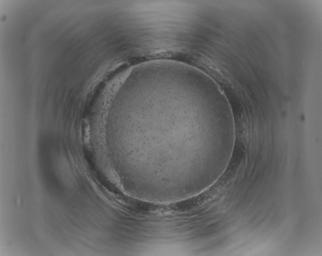 X0000072550742200607141252