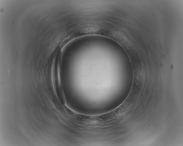 X0000072550743200607141252