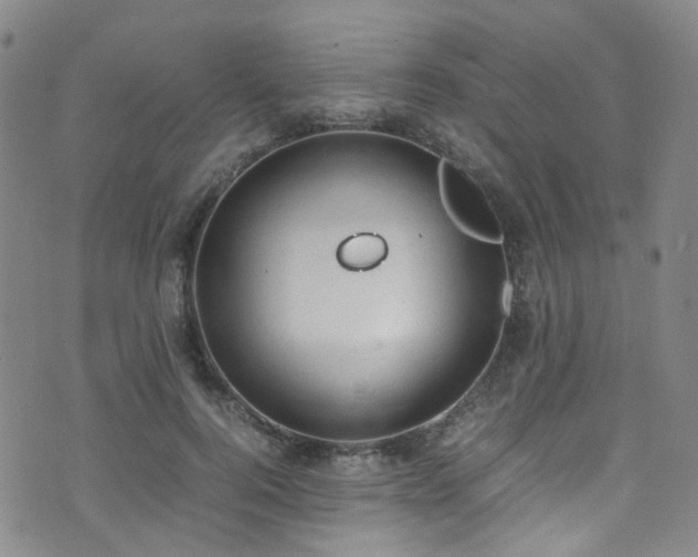 X0000072550744200607141252