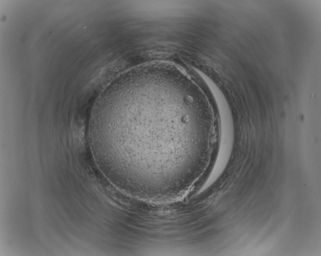 X0000072550745200607141252