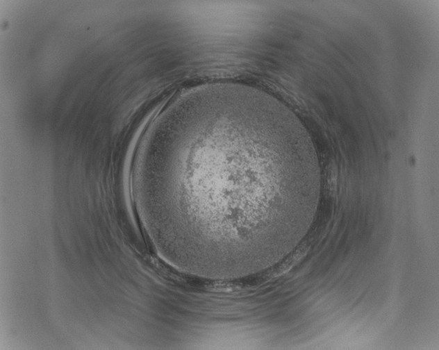 X0000072550746200607141252