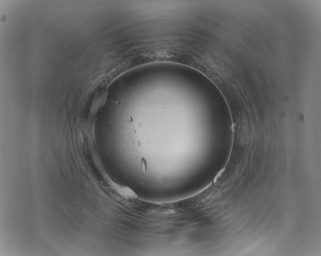 X0000072550747200607141252