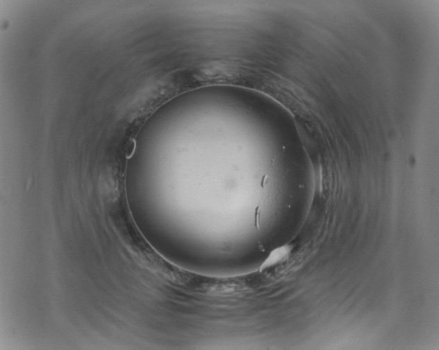 X0000072550751200607141252