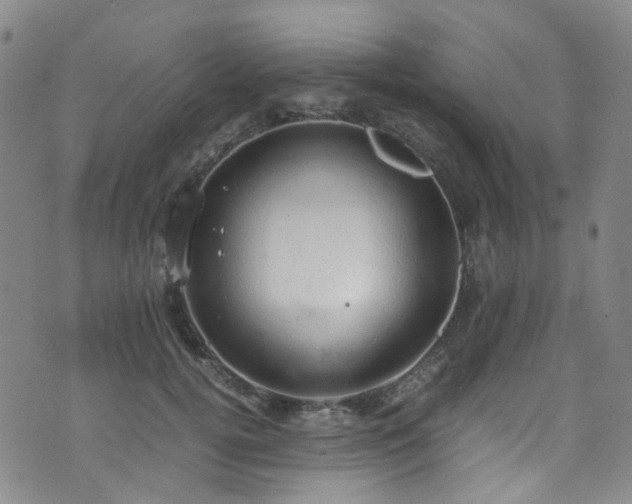 X0000072550752200607141252