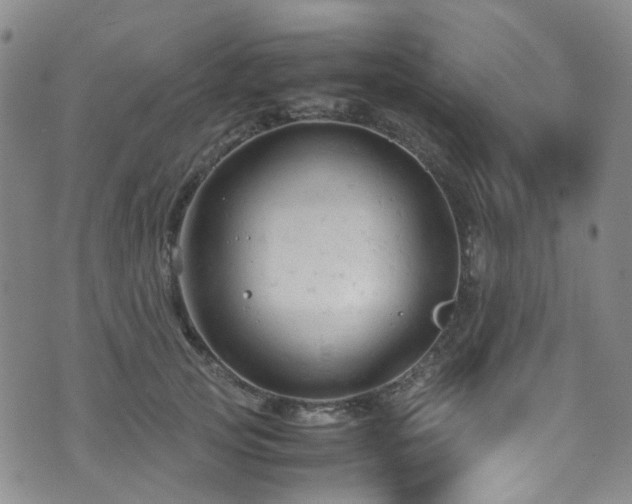 X0000072550753200607141252