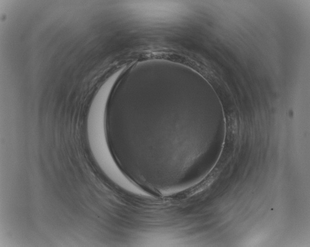 X0000072550754200607141252