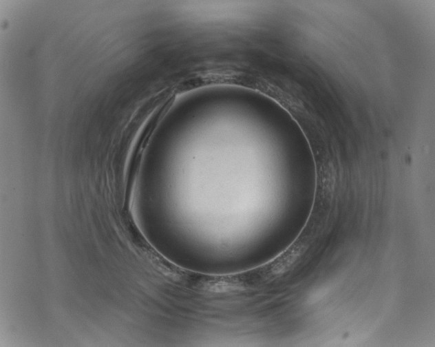 X0000072550755200607141252