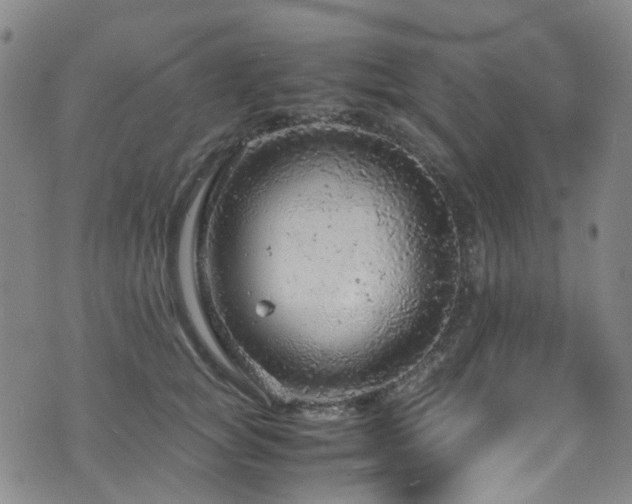 X0000072550757200607141252