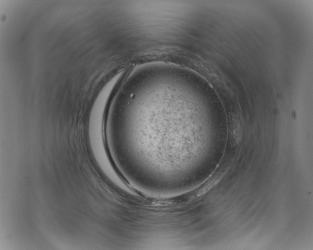 X0000072550758200607141252