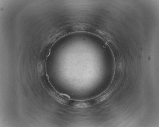 X0000072550759200607141252